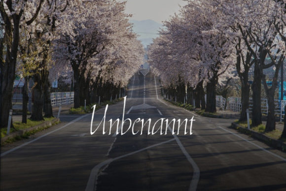 Unbenannt: The Art of Handwritten Typography in Digital Design
